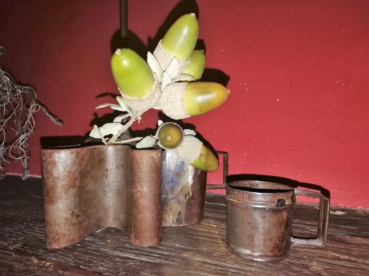 Casa Rural Abuela Maxi Riolobos ภายนอก รูปภาพ